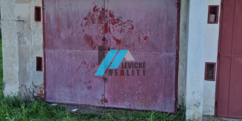 Levicke-reality-1