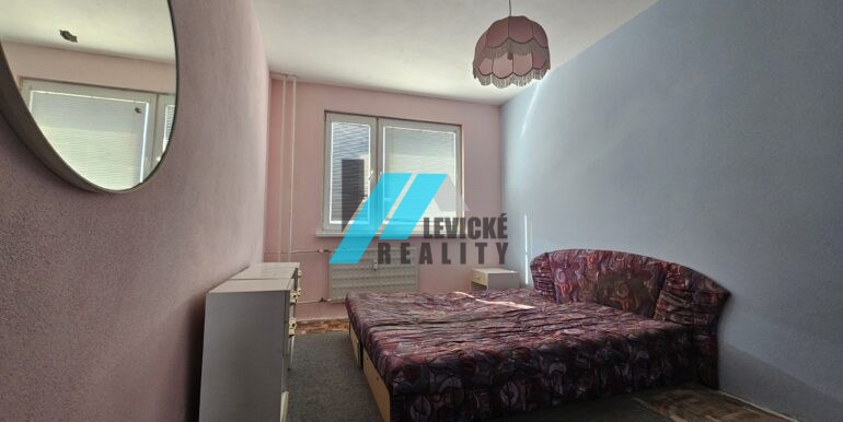 Levicke-reality-3