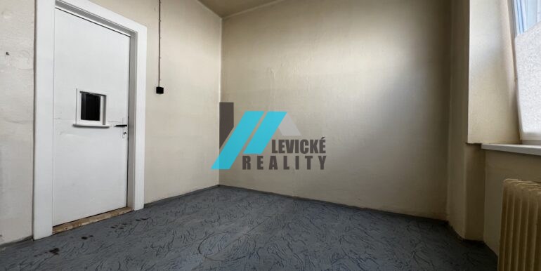 Levicke-reality-4