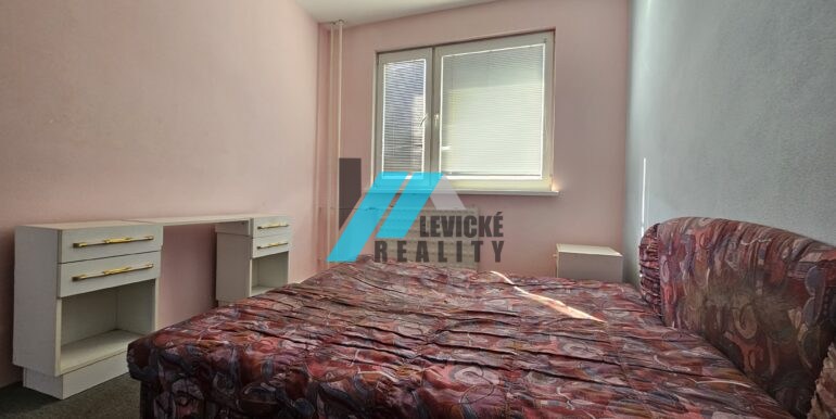 Levicke-reality-4