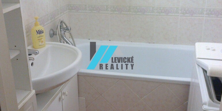 Levicke-reality-5