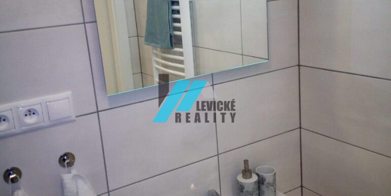 Levicke-reality-5