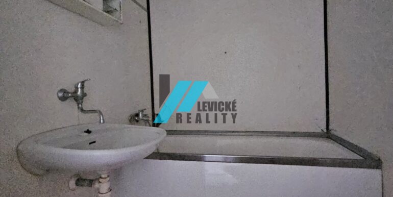 Levicke-reality-6