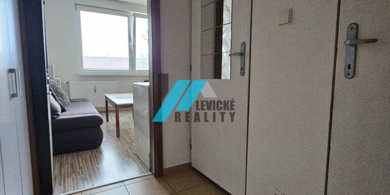 Levicke-reality-6