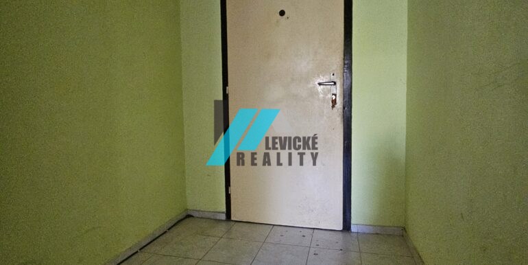 Levicke-reality-7