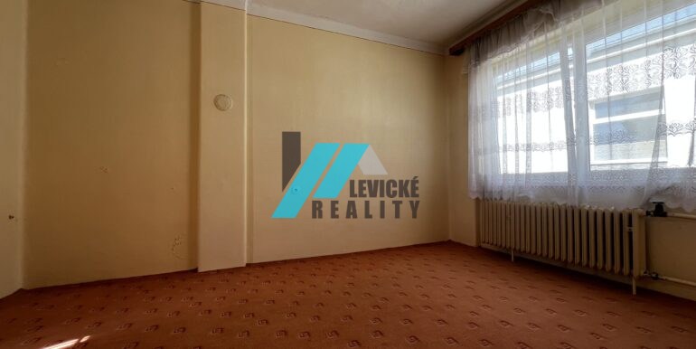 Levicke-reality-7