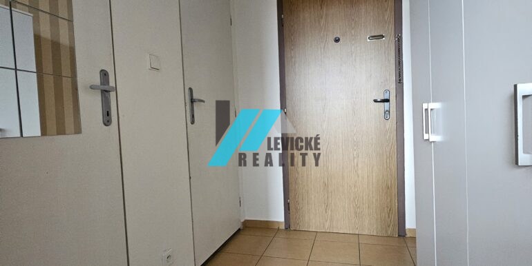 Levicke-reality-7