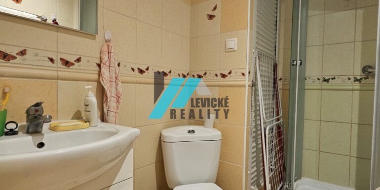 Levicke-reality-7