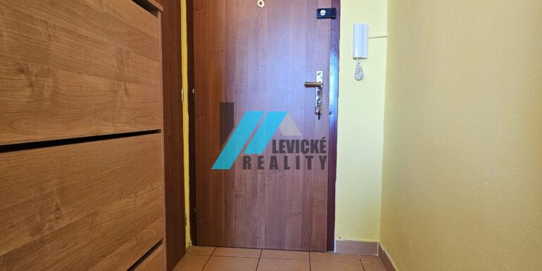 Levicke-reality-8