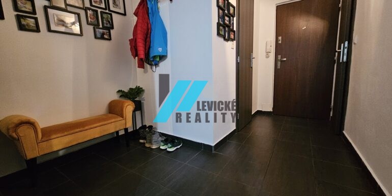 Levicke-reality-8