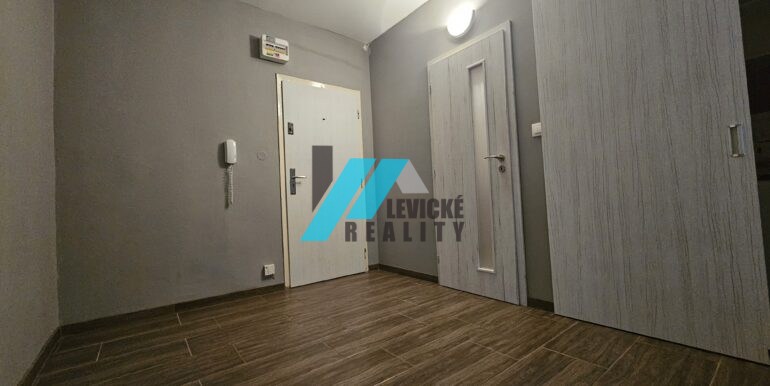 Levicke-reality-10