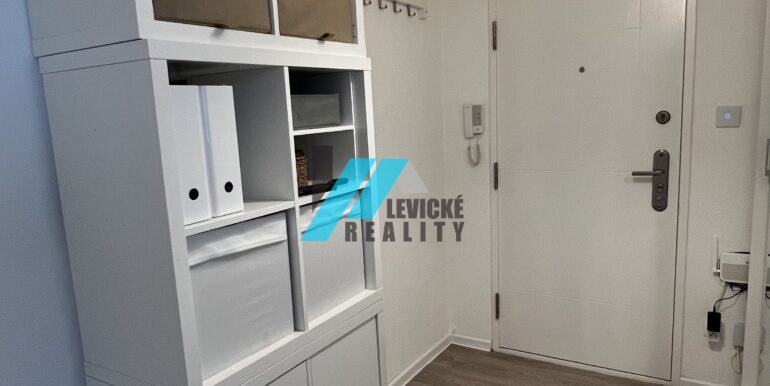 Levicke-reality-5