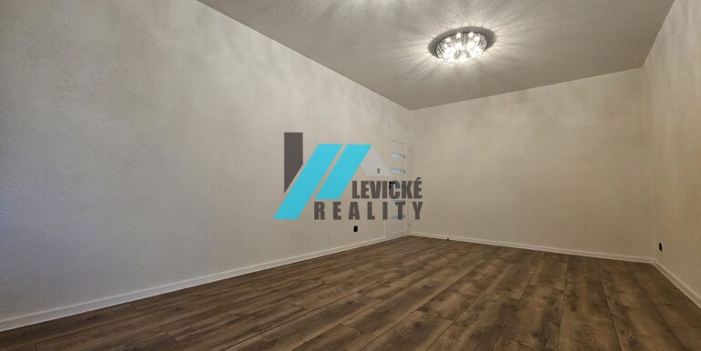 Levicke-reality-6