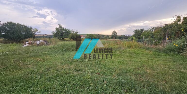 Levicke-reality-10