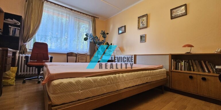 Levicke-reality-5