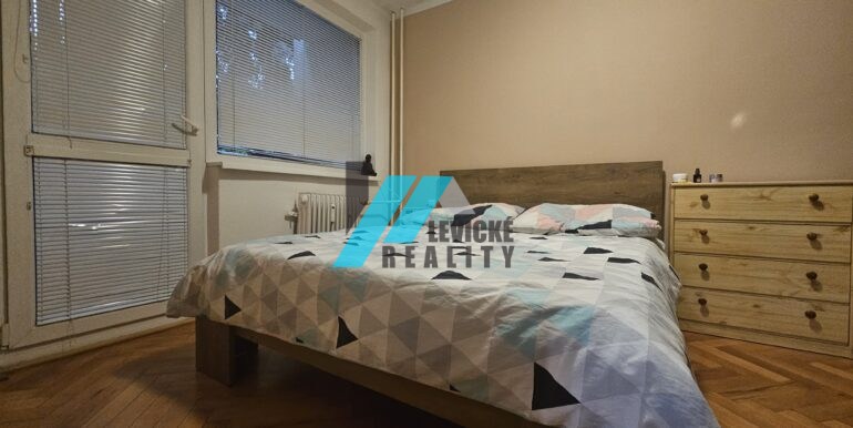 Levicke-reality-5