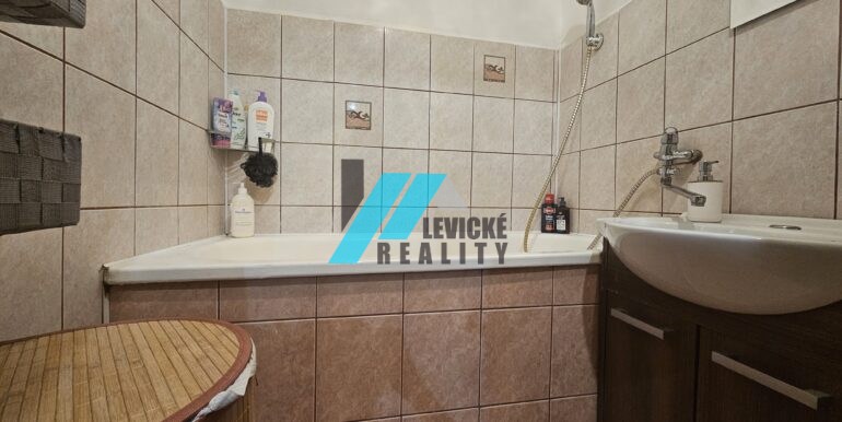 Levicke-reality-8