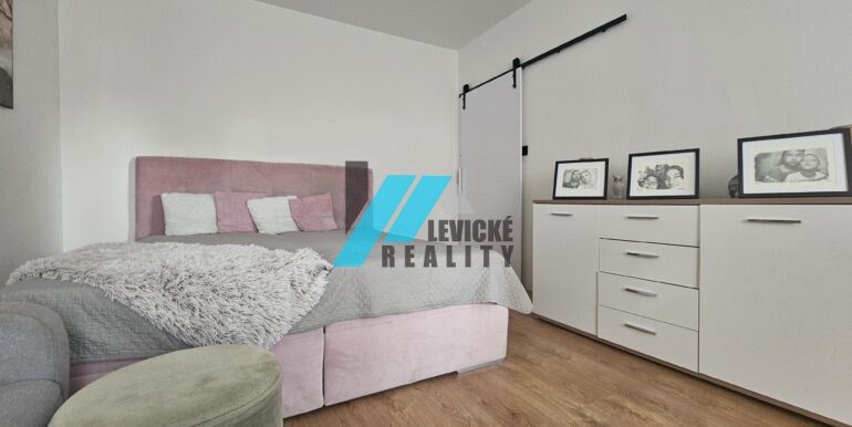 Levicke-reality-4