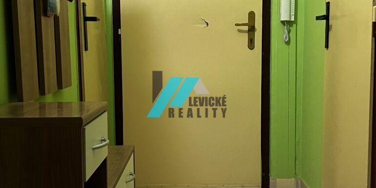 Levicke-reality-5