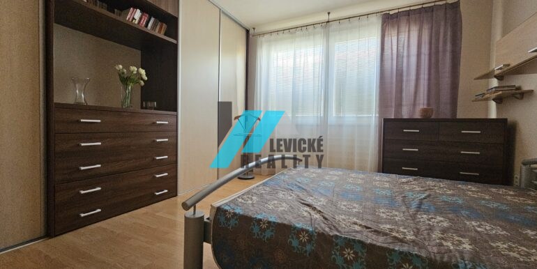 Levicke-reality-5