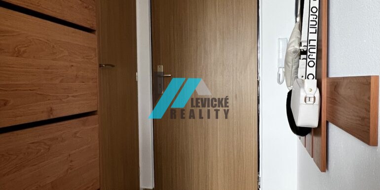 Levicke-reality-5