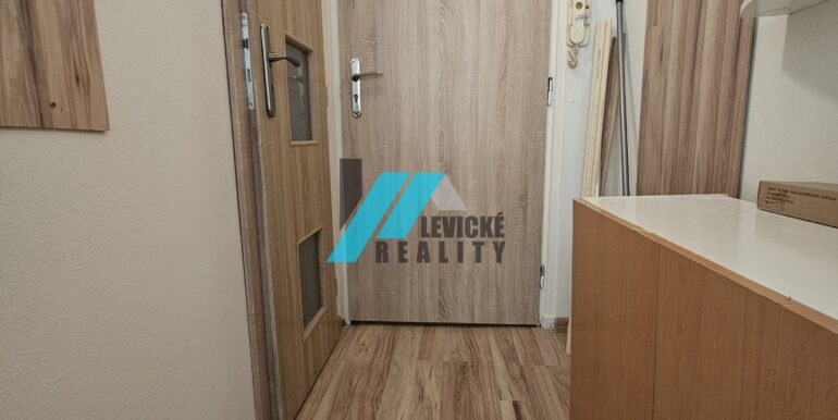 Levicke-reality-6