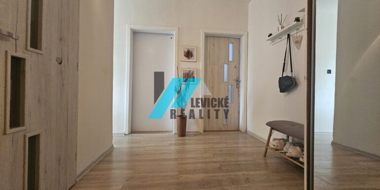 Levicke-reality-8