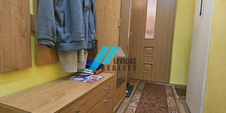 Levicke-reality-8