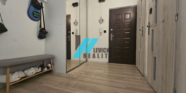 Levicke-reality-9