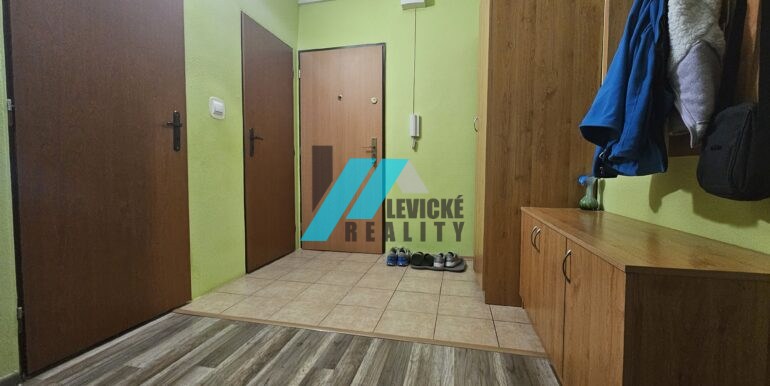 Levicke-reality-10