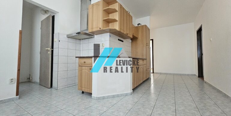 Levicke-reality-2