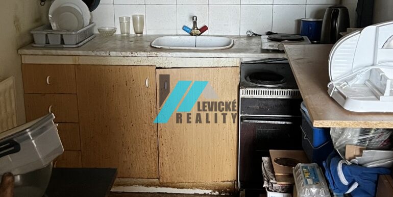 Levicke-reality-2