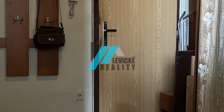 Levicke-reality-3