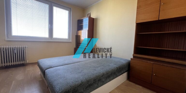 Levicke-reality-3