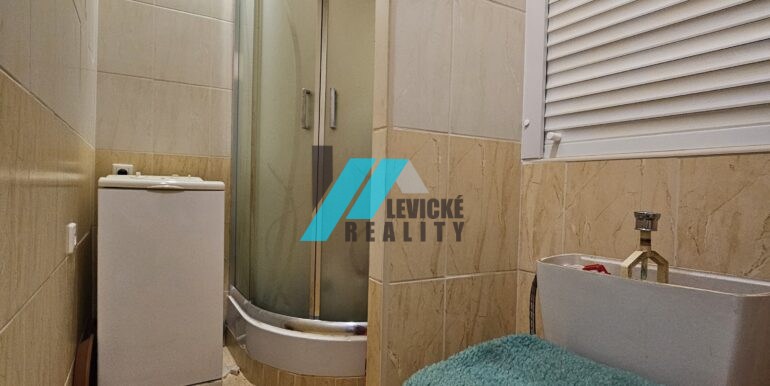 Levicke-reality-4