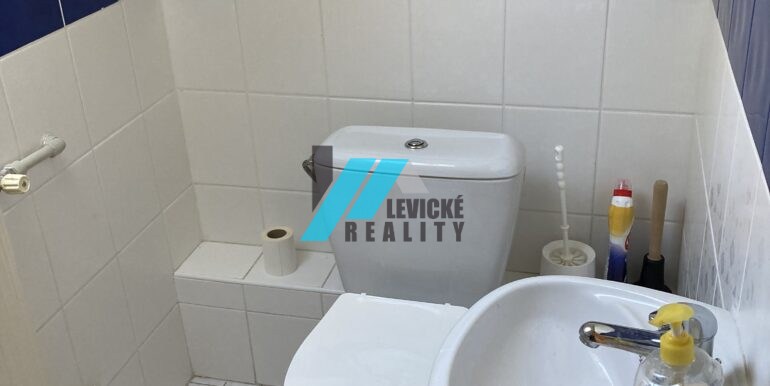 Levicke-reality-5