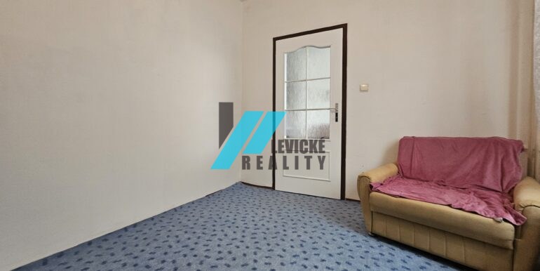 Levicke-reality-7