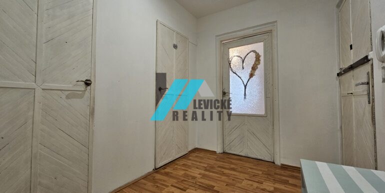 Levicke-reality-9