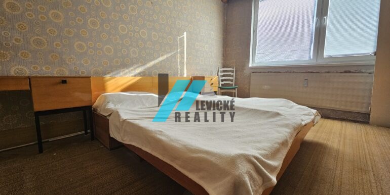 Levicke-reality-4