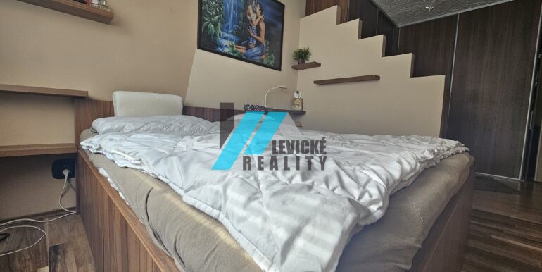 Levicke-reality-5