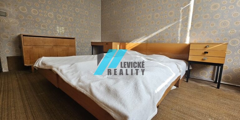 Levicke-reality-5