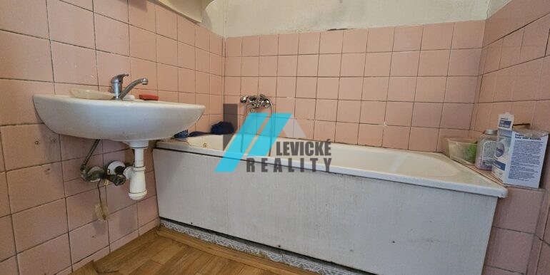 Levicke-reality-6