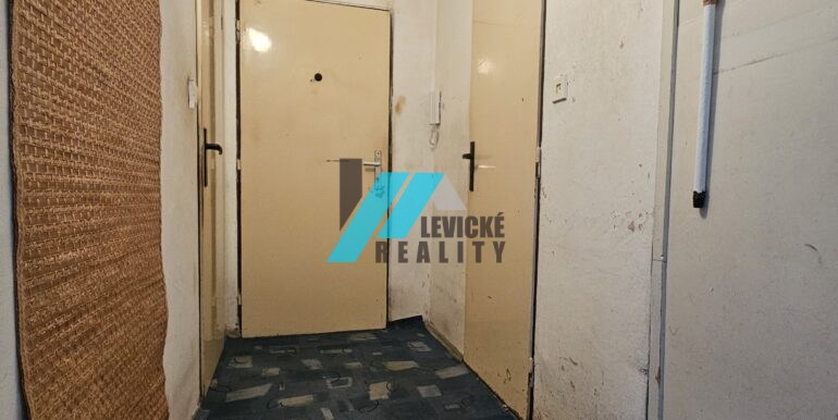 Levicke-reality-7