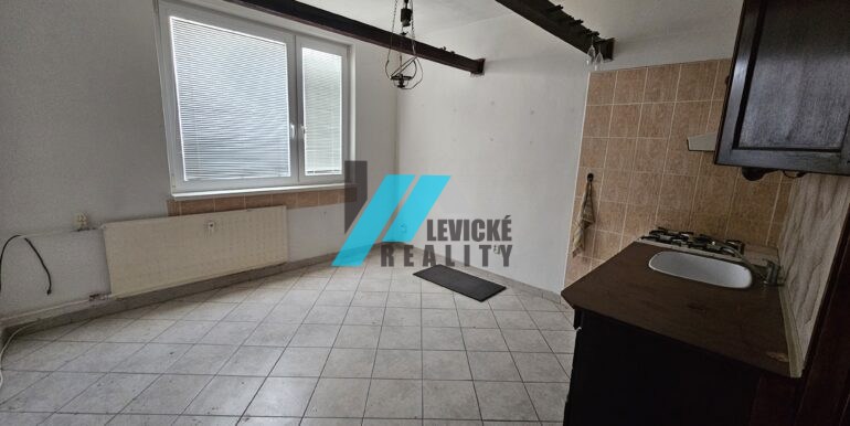 Levicke-reality-2