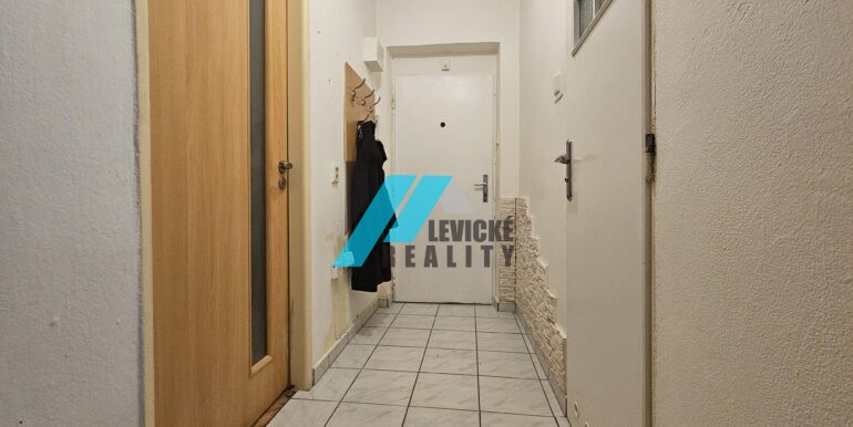 Levicke-reality-10