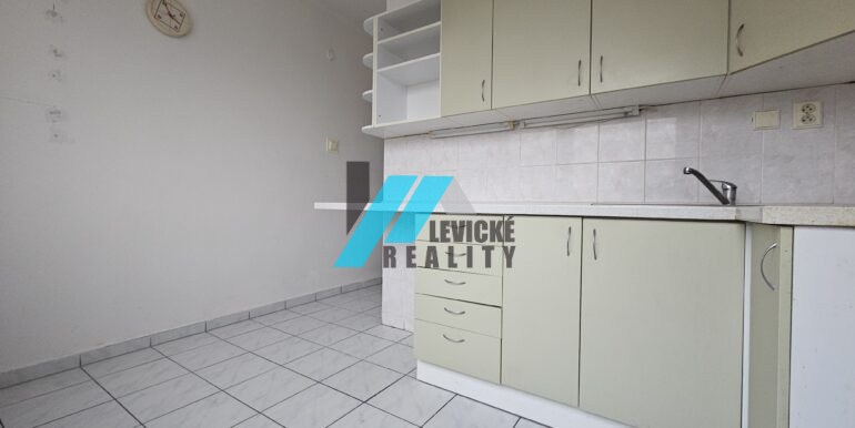 Levicke-reality-2