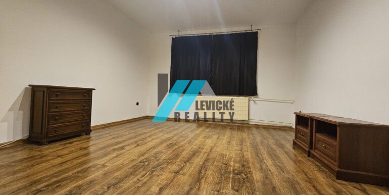 Levicke-reality-2