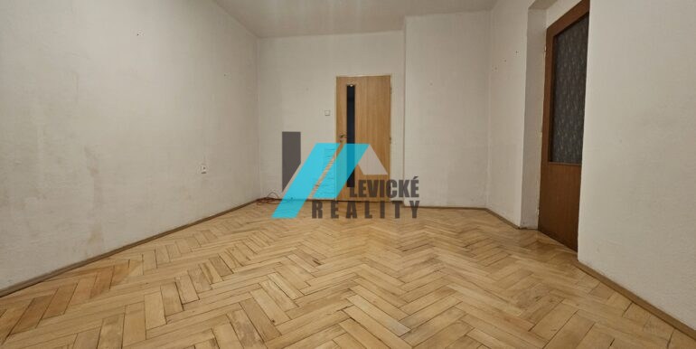 Levicke-reality-4