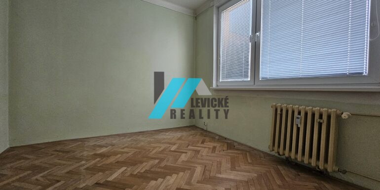 Levicke-reality-4