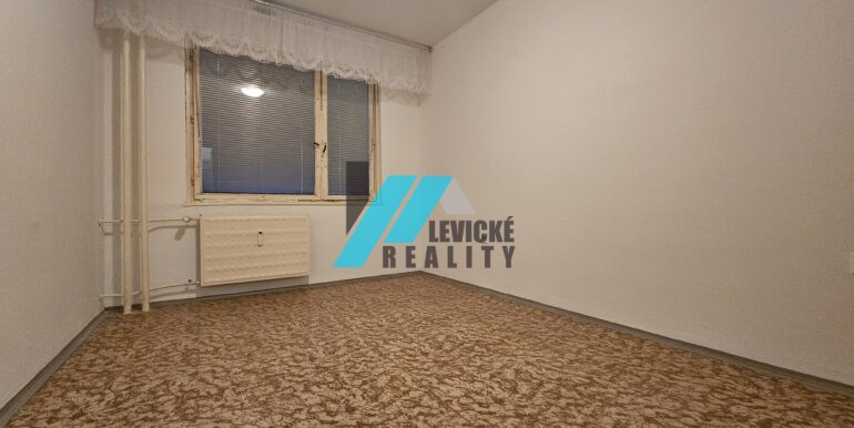 Levicke-reality-4